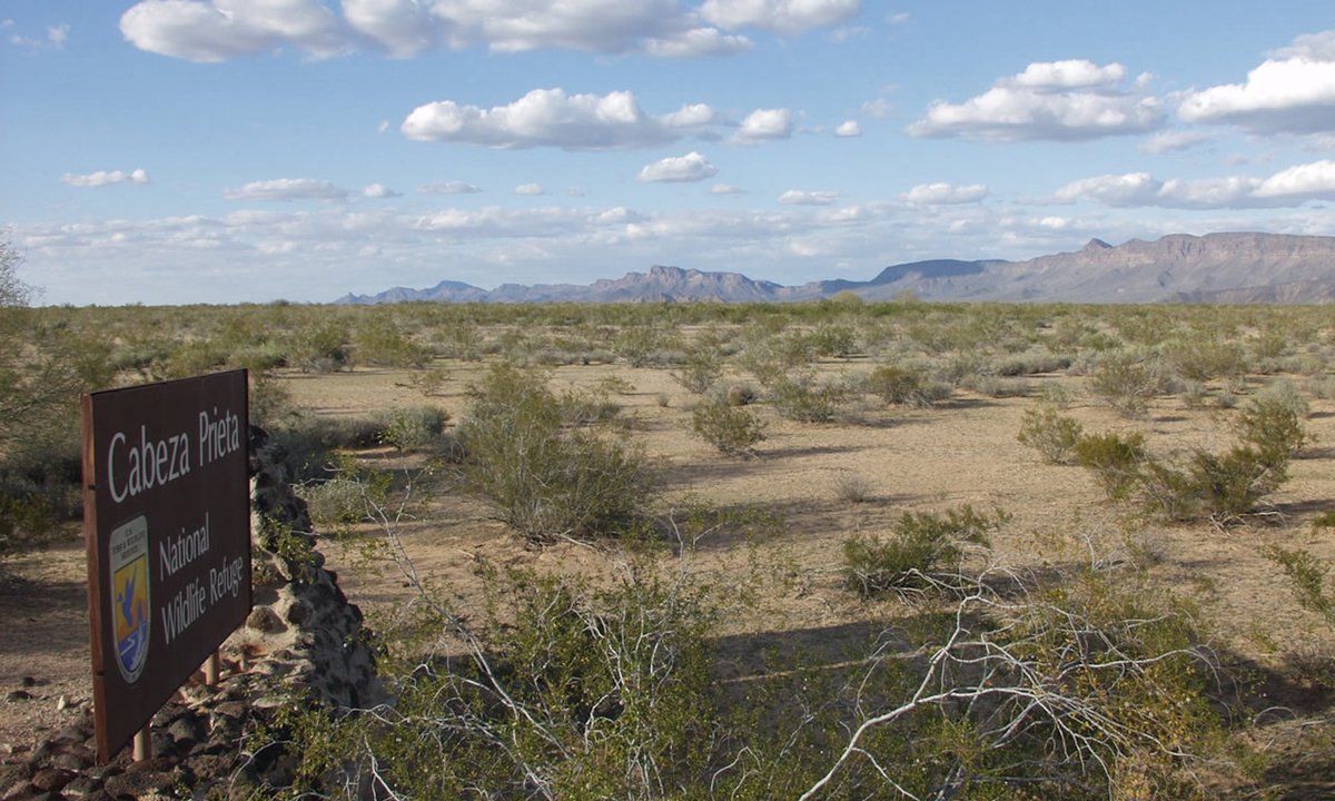 1,000-year-old archaeological site bulldozed during construction of Mexico-US border wall – The Art Newspaper 1,000-year-old archaeological site bulldozed during construction of Mexico-US border wall – The Art Newspaper