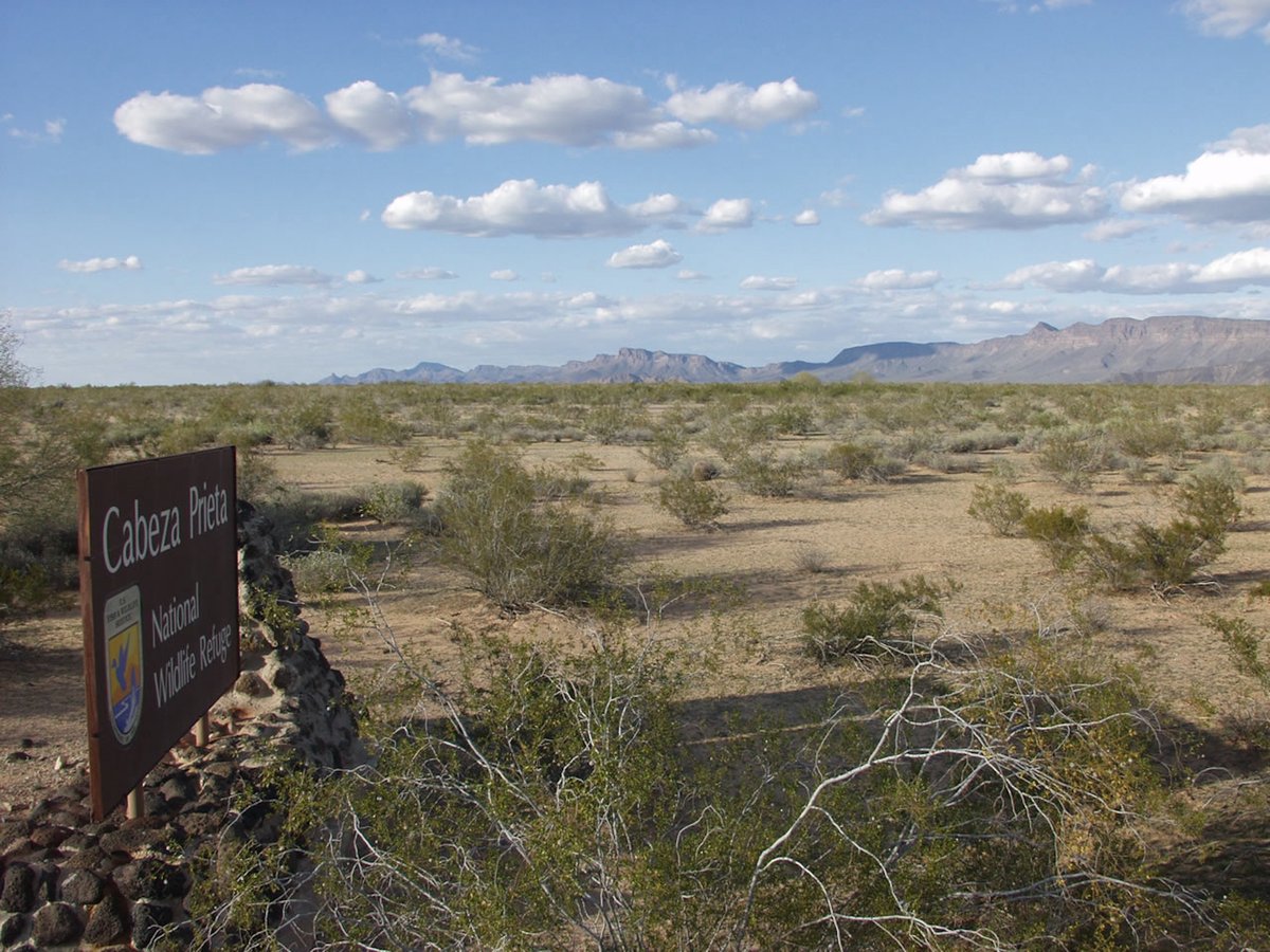 The Cabeza Prieta Wildlife Refuge, where a 1,000-year-old intaglio was recently bulldozed during construction the Mexico-US border wall Photo by Dan Sorensen, via Wikimedia Commons