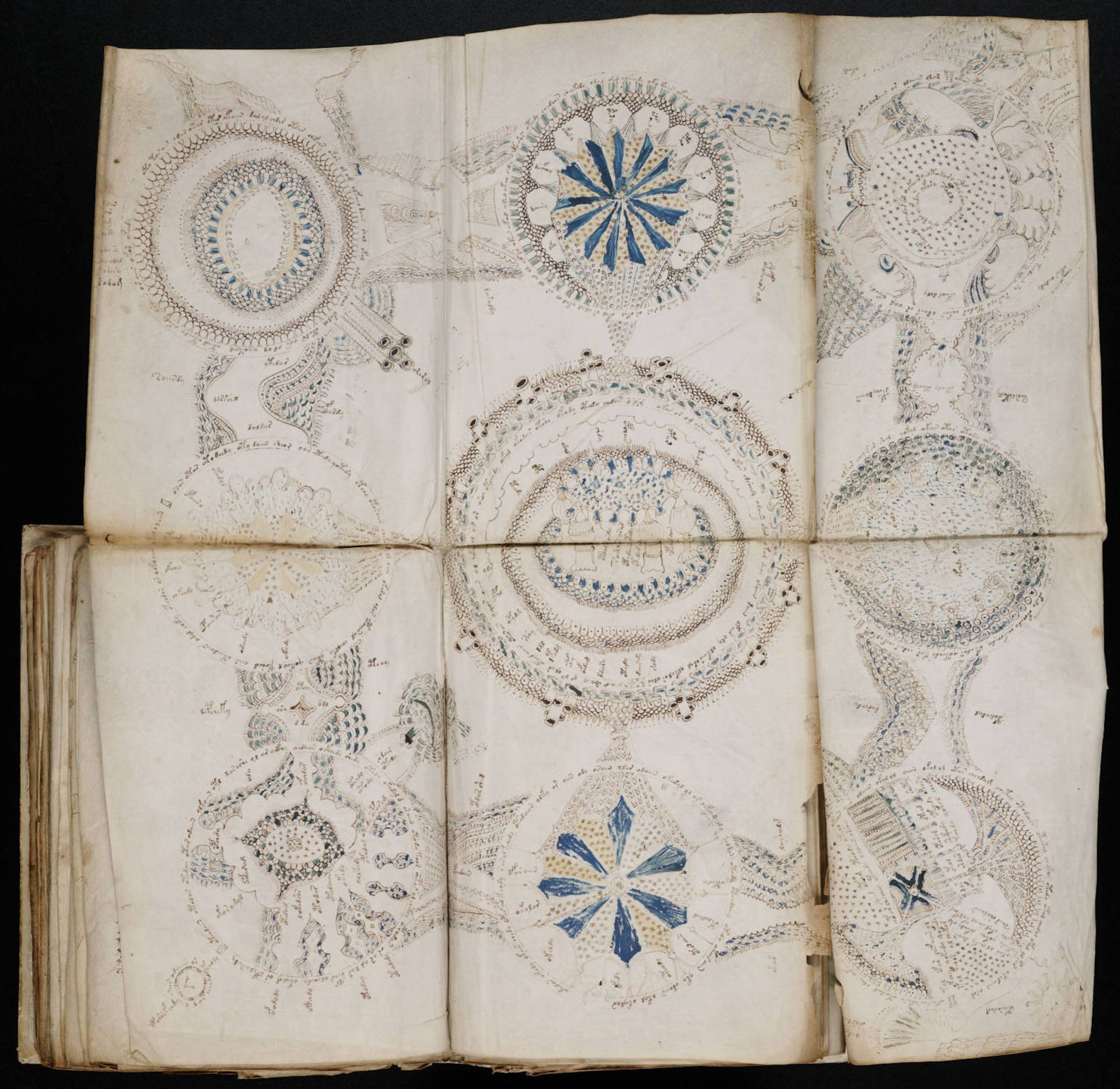 A spread from the Voynich Manuscript that folds out into an elaborate, multi-page diagram Beinecke Rare Book and Manuscript Library, Yale University, New Haven, Connecticut