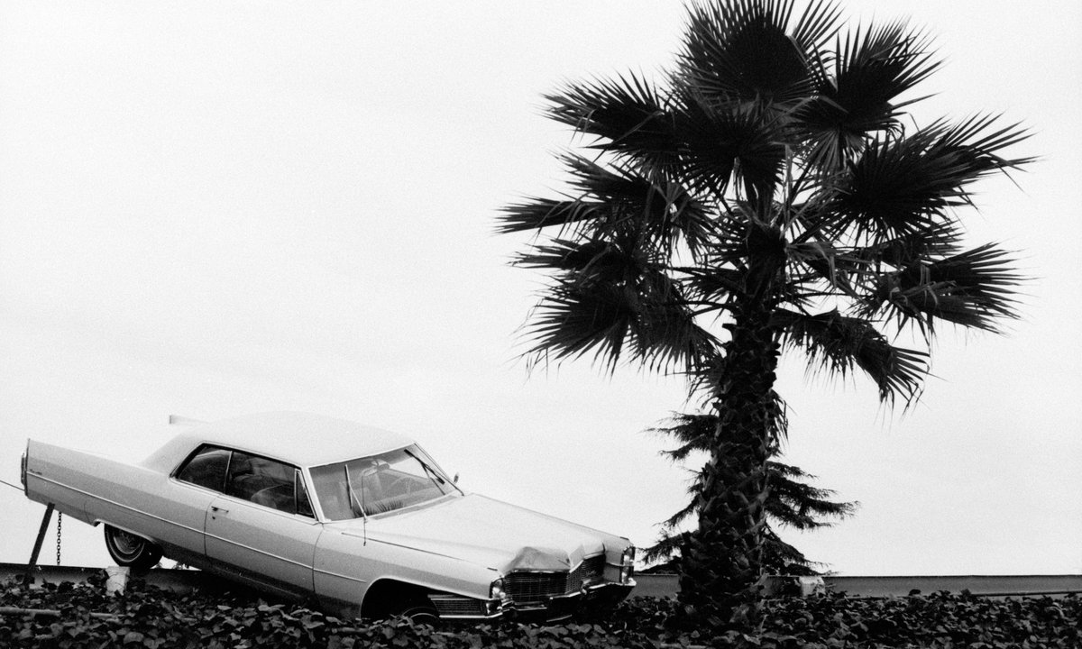 Made in LA biennial contemplates wildfires and immigrant arrests – The Art Newspaper