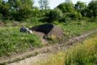 Can triennials reduce their environmental impact? St Louis’s Counterpublic hopes to be a model