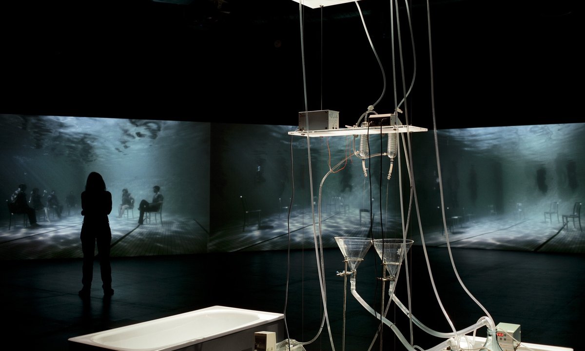 Fluorescent rabbits, slime mould and bacteria: artists get biological ...