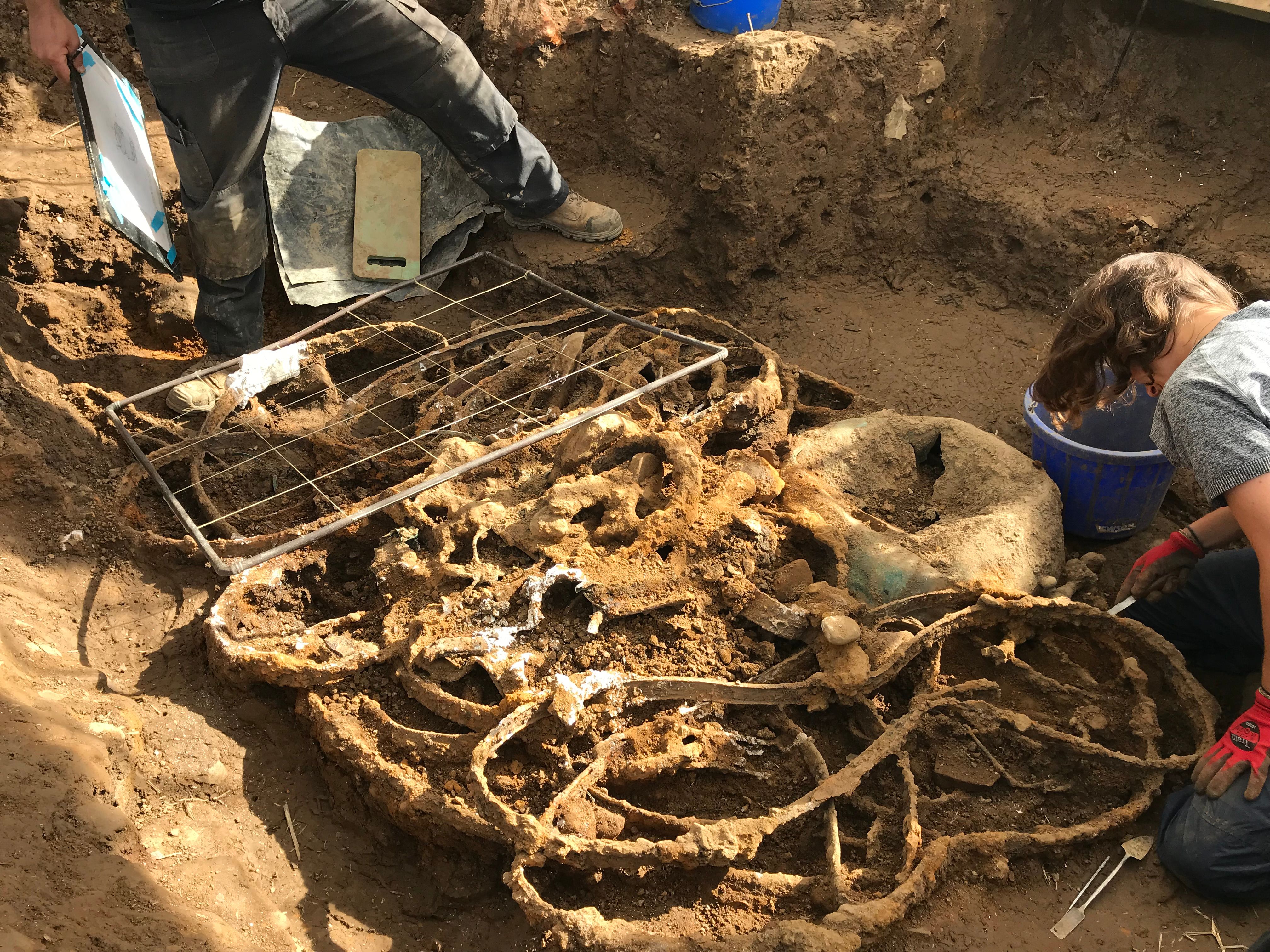 'Exceptional' Iron Age hoard could help to better understand Britain's history