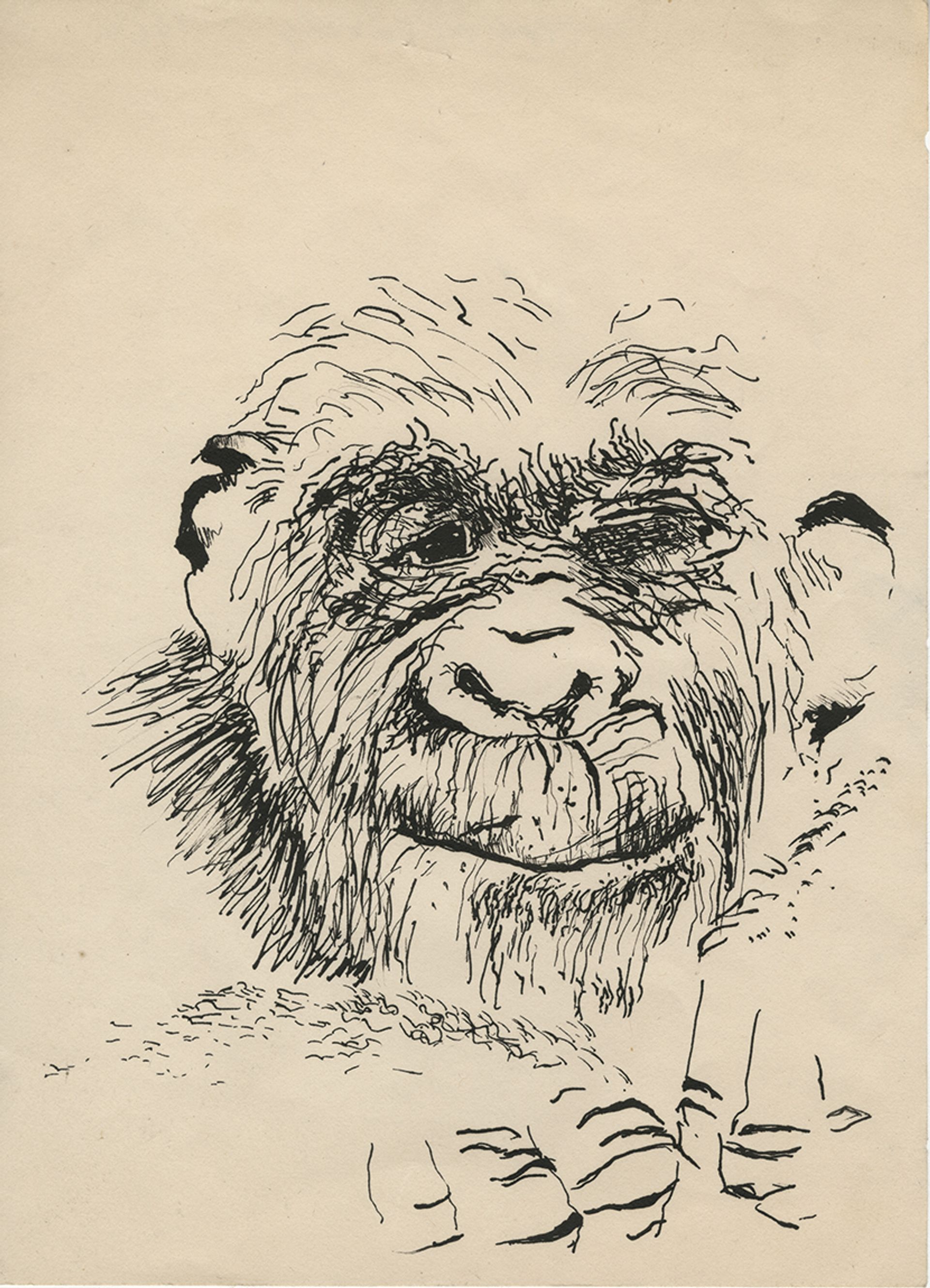 Paul McCarthy, Self-Portrait (1963), ink on paper Courtesy of the artist and Hauser & Wirth