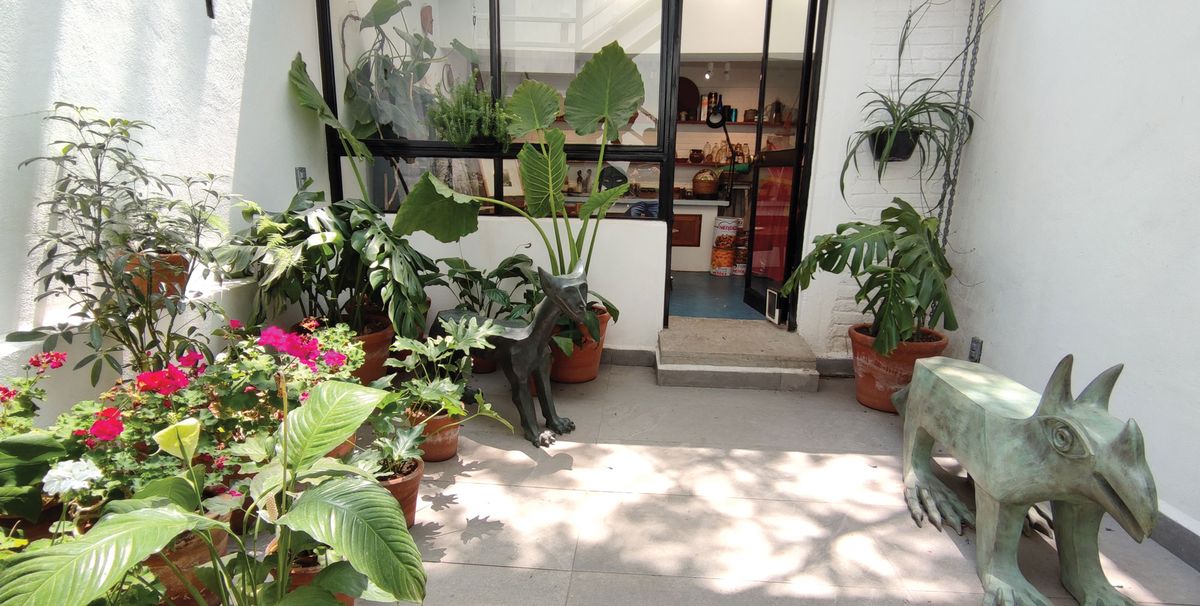 A view into Leonora Carrington’s studio in Calle Chihuahua in the Roma district of Mexico City Photo: © Casa Estudio Leonora Carrington UAM