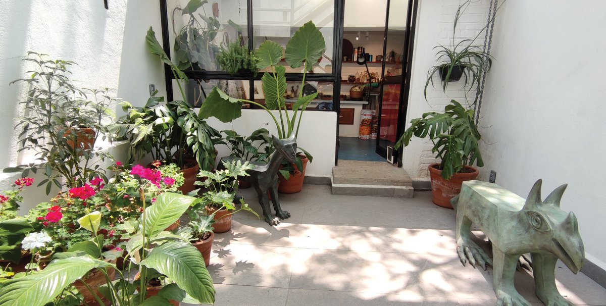 A view into Leonora Carrington’s studio in Calle Chihuahua in the Roma district of Mexico City Photo: © Casa Estudio Leonora Carrington UAM