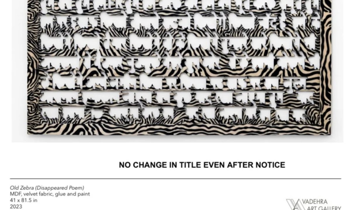 Leading Indian artist Anita Dube accused of 'intellectual theft' after using protest poem in Delhi gallery show