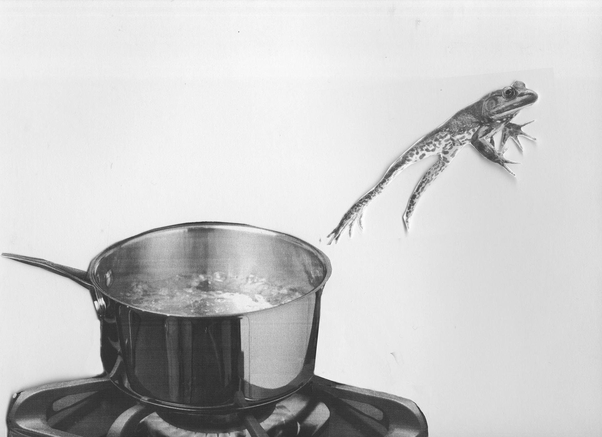 “The frogs have managed to jump out of the boiling pot just in time,” the artist Martha Rosler told The Art Newspaper Photo: Martha Rosler