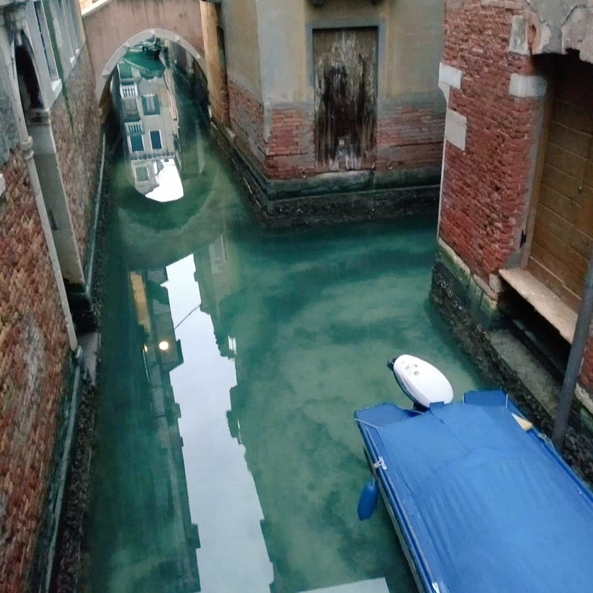 The social media account Venezia Pulita/Clean Venice has been posting images of clearer water in Venetian canals © Venezia Pulita / Clean Venice/Twitter