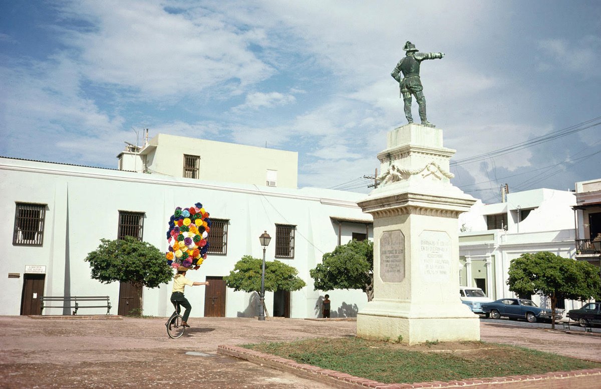 San Juan, Puerto Rico (1974) features in a new Joel Meyerowitz book called Wild Flowers