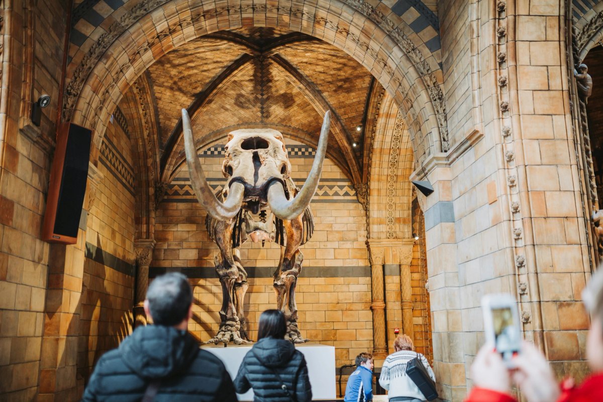Security guards at the Natural History Museum in London (pictured) and the Science Museum are going on strike