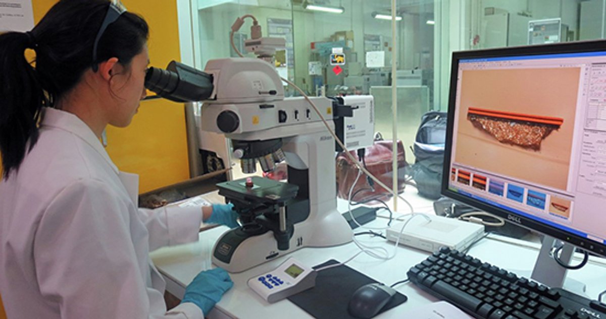 The field of art conservation has been notably inaccessible to people from minority backgrounds in the US Getty Foundation