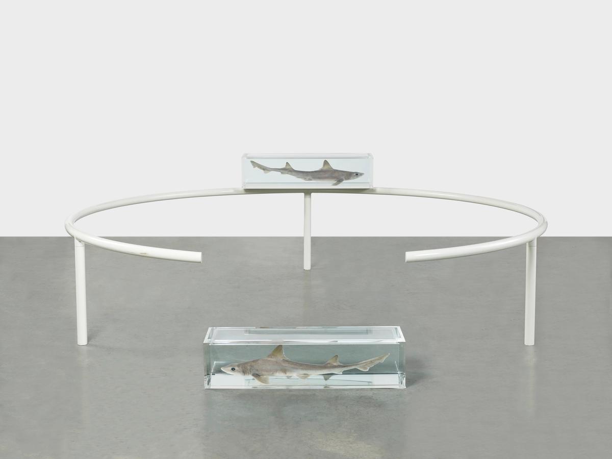 Two Similar Swimming Forms in Infinite Flight (Broken), (1993) Photographed by Prudence Cuming Associates. ©Damien Hirst and Science Ltd. All rights reserved, DACS 2020