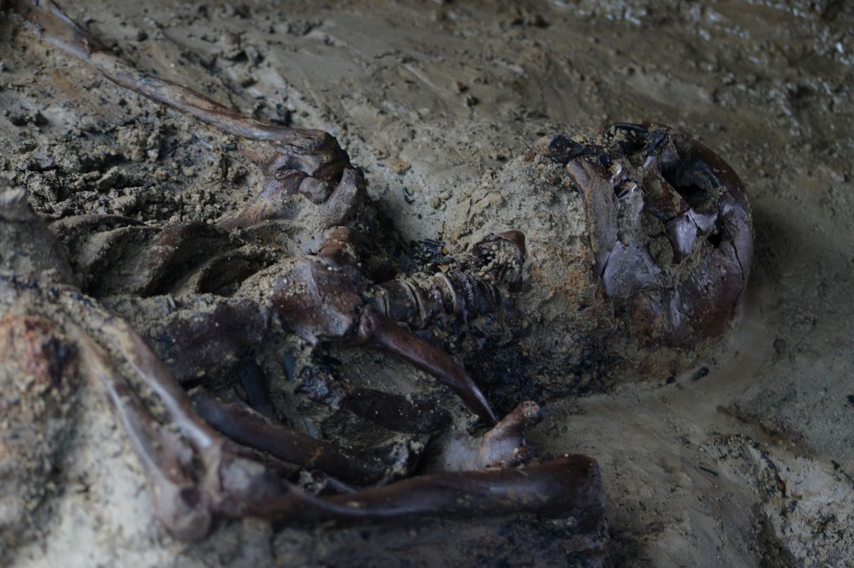Experts at the archaeological park of Herculaneum are studying the newly excavated remains of a man described as the "last fugitive", who was killed in the AD79 eruption of Mount Vesuvius © Parco Archeologico di Ercolano