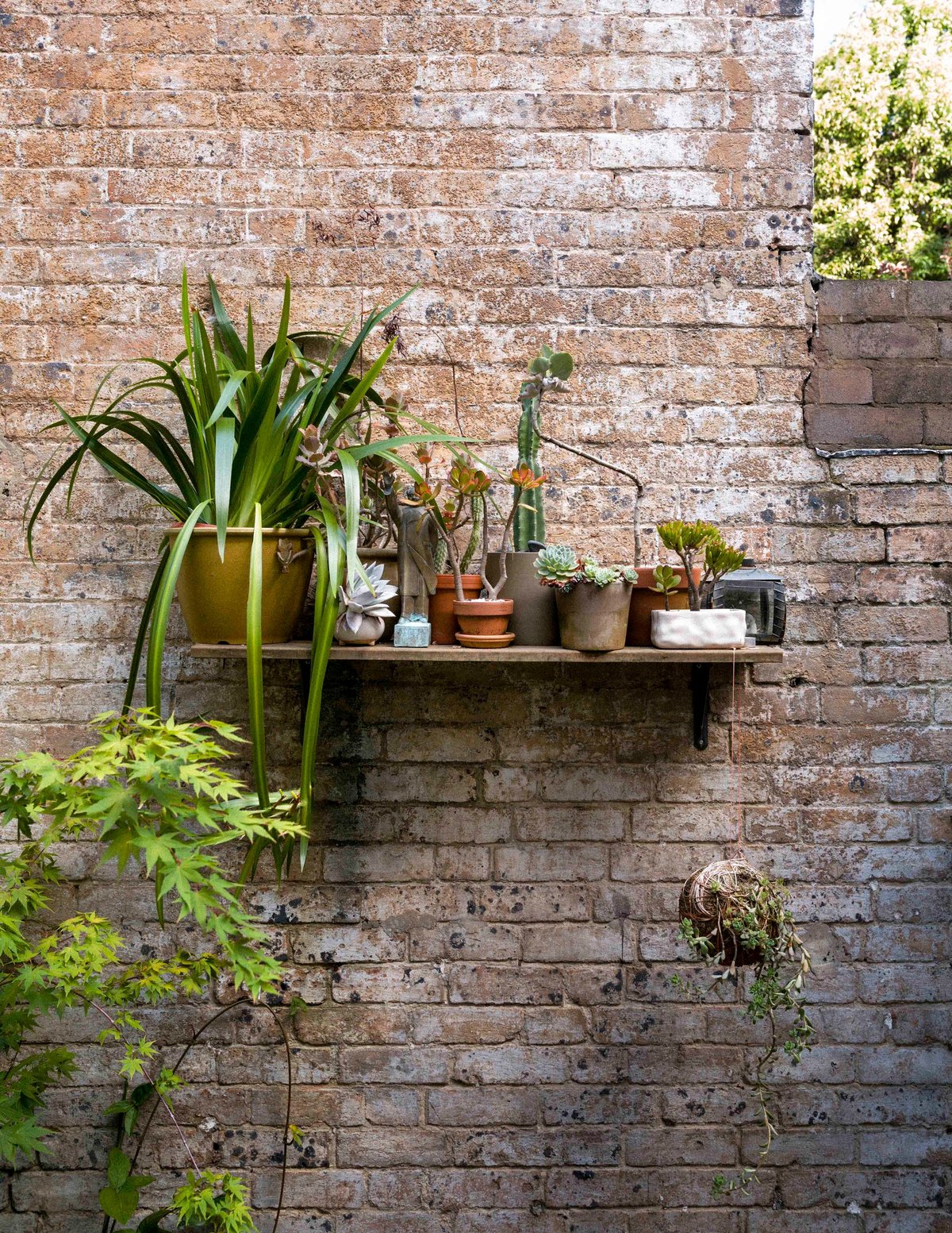 Rental Decadence Courtesy of Thames & Hudson. ©Daniel Shipp (photography) 2018