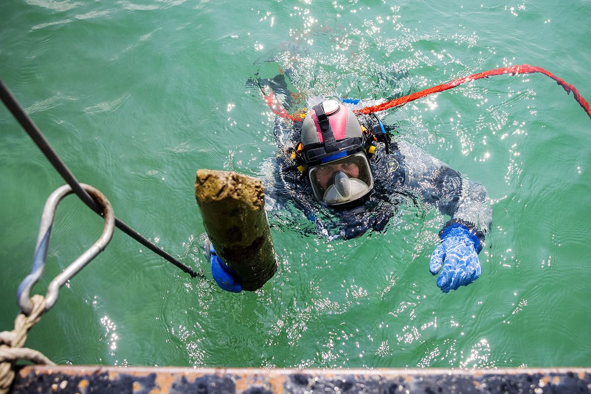 A diver emerging with a piece of wood retrieved from below the muddy bed of Lake Lucerne, where archaeologists have found the remains of houses that once stood on stilts. Philipp Schmidli