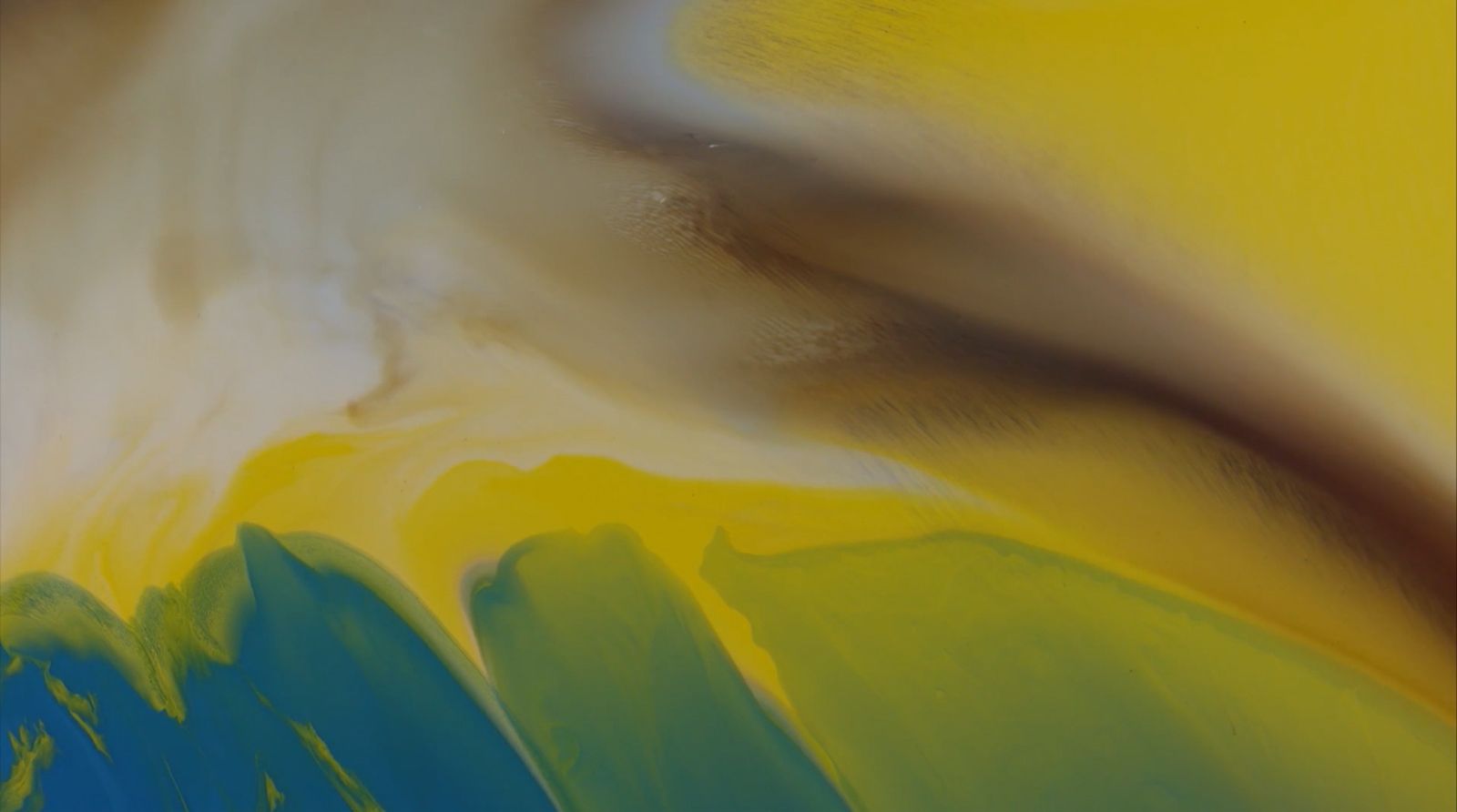 A screenshot of Cindy Ng's Flower Image: courtesy of Ora-Ora © the artist