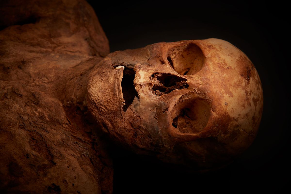 A mummy uncovered in Basel church has been identified as Anna Catharina Bischoff Gregor Brändli
