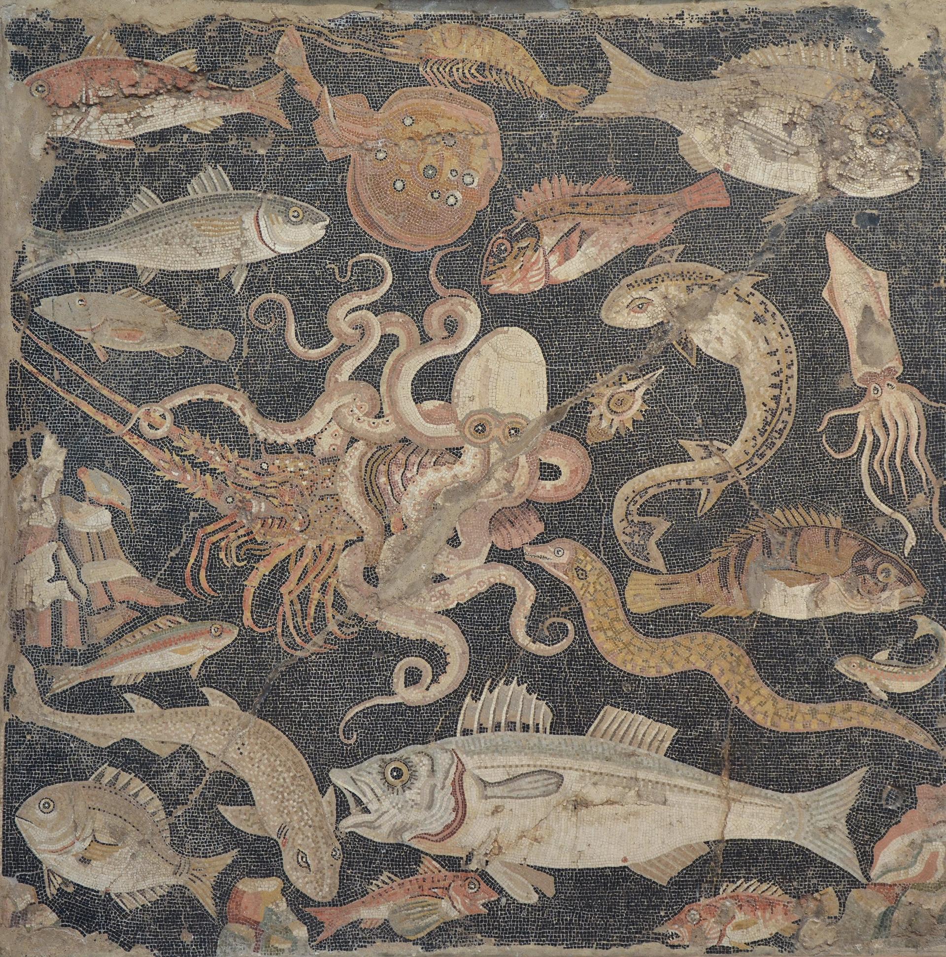 Polychrome mosaic panel with a marine scene, Roman, from Pompeii, 100-1 BC, from the Museo Archeologico Nazionale di Napoli Photo: Carole Raddato (2014) / Flickr. Image courtesy of the Fine Arts Museums of San Francisco
