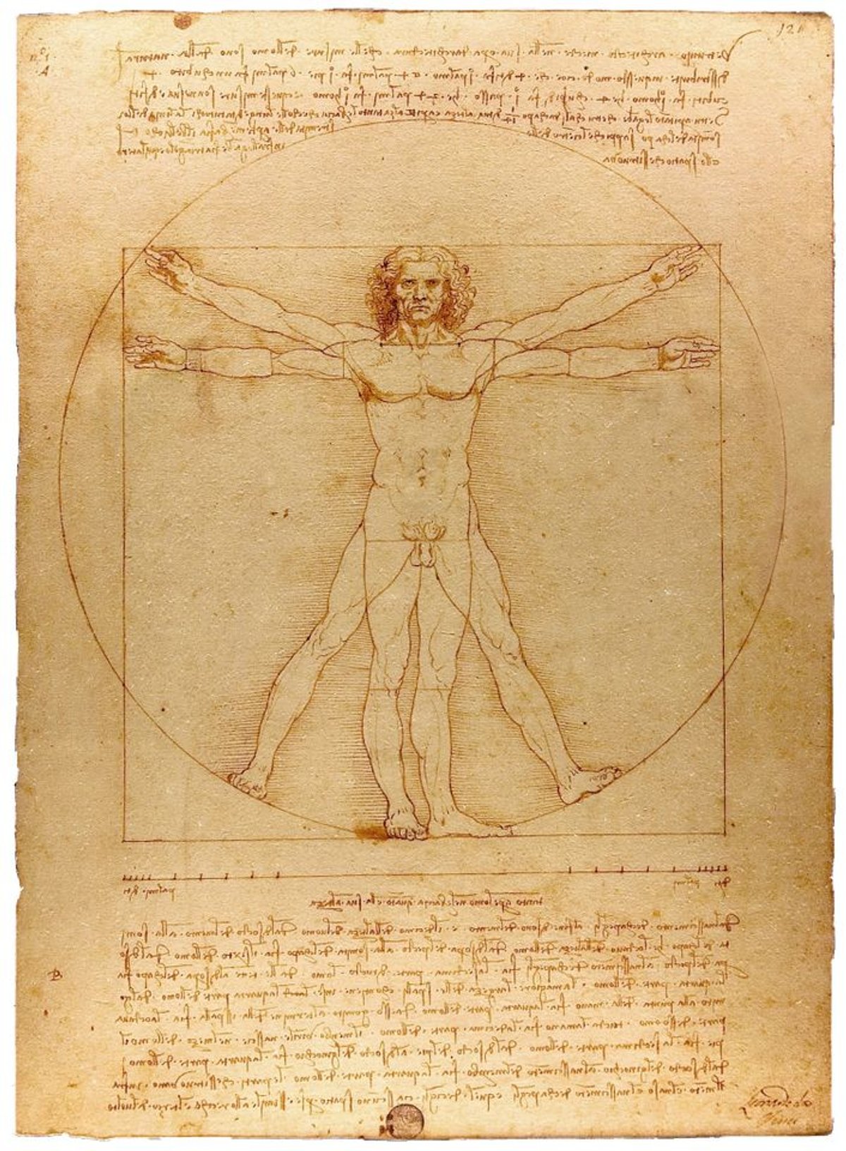 Leonardo's iconic Vitruvian Man (1490)