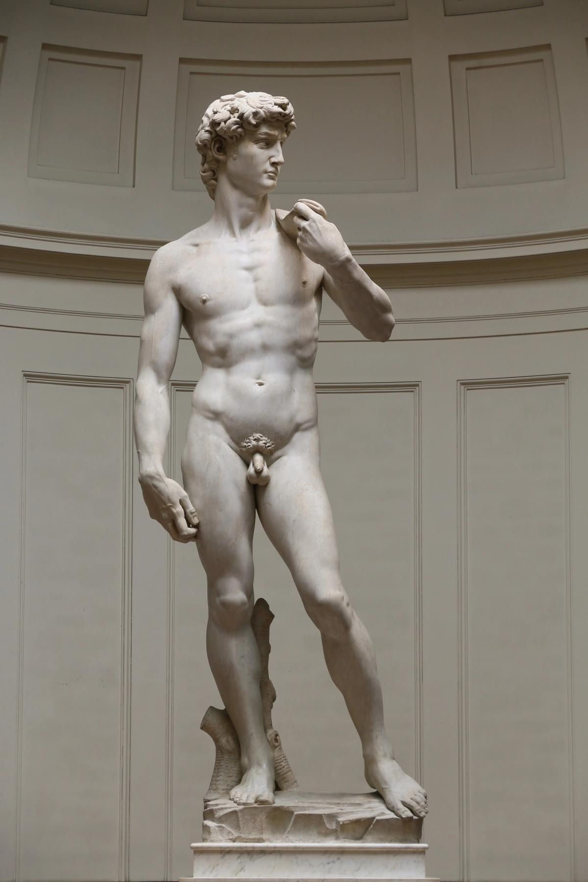 David (1501-04) by Michelangelo, seen in situ at the Galleria dell'Accademia di Firenze in Florence, Italy, is too hot for some Tallahassee parents Jörg Bittner Unna, via Wikimedia Commons
