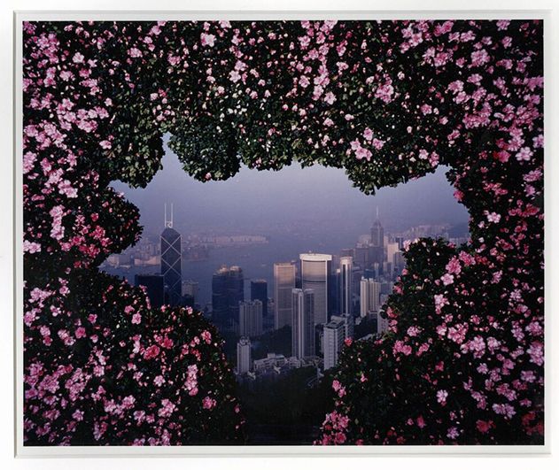 A Floral Transformation (1996) by Lee Ka-sing at Asia Art Archive Courtesy Lee Ka-sing