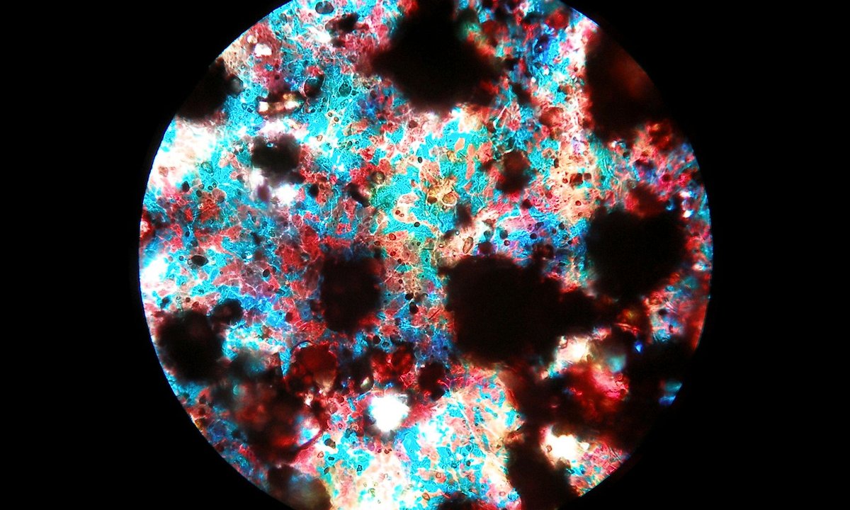 Comment | Somerset House's soil-themed exhibition shows the importance of being down to earth