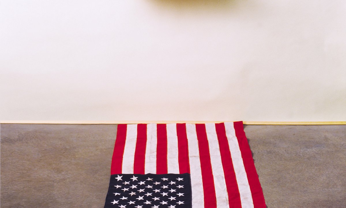 Exhibition of Black artists reinterpreting the US flag opens without key Dread Scott work