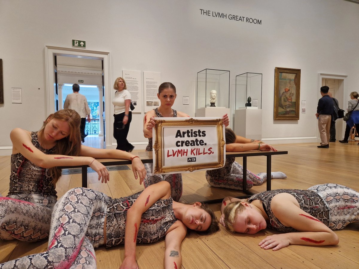 Peta said it was protesting “fashion house LVMH’s continued use of wild animals’ skin in its collections”
Courtesy of Peta