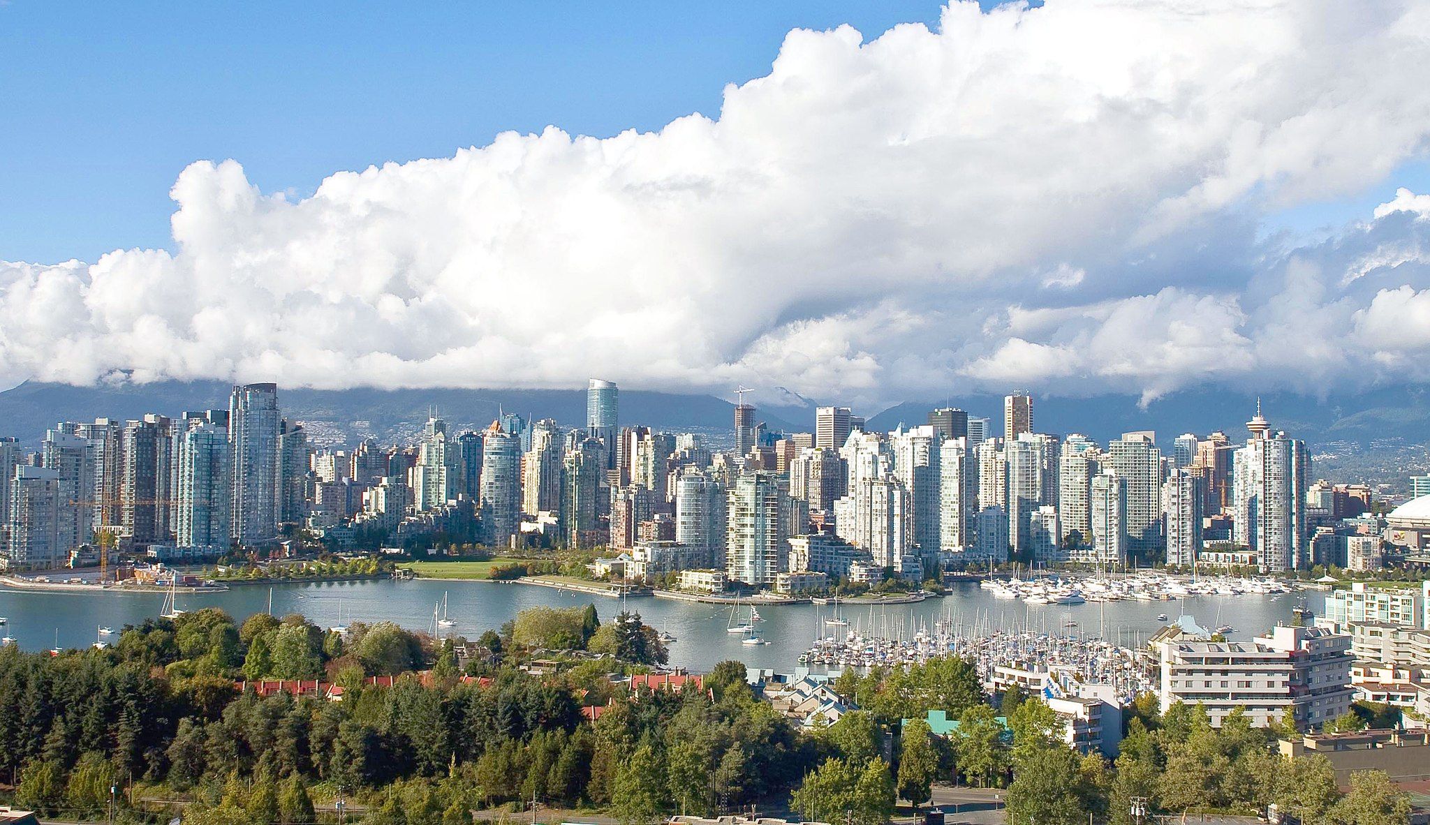 Vancouver is now filled with luxury skyscrapers due to a recent real estate boom. Many Chinese investors are turning to art as British Columbia's higher real estate taxes take effect. David G. Gordon/Wikimedia