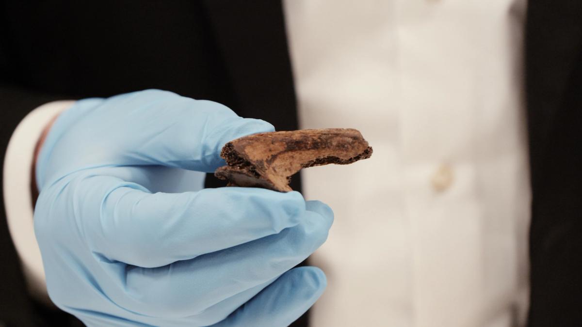 Still from the documentary Elevating Piet Hein showing the bone that is thought to have belonged to Piet Hein © ntr