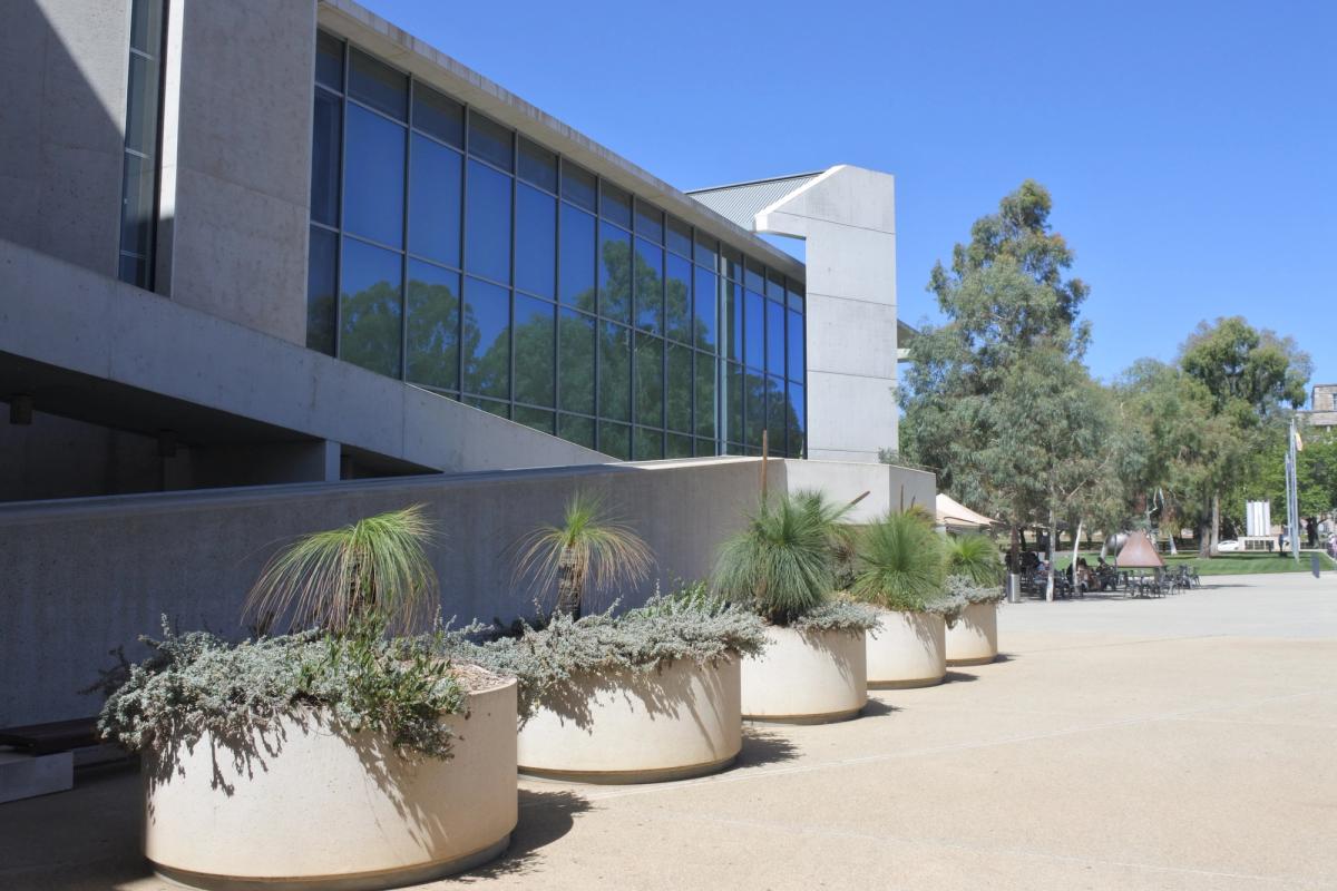 A trip to the National Gallery of Australia may have been a moment of inspiration for Balang Nakurulk

Photo: Rafael Ben-Ari