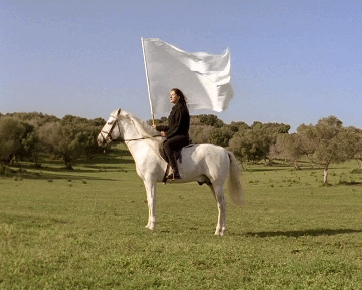 Marina Abramovic's The Hero 25FPS  © Circa Hero (2022)