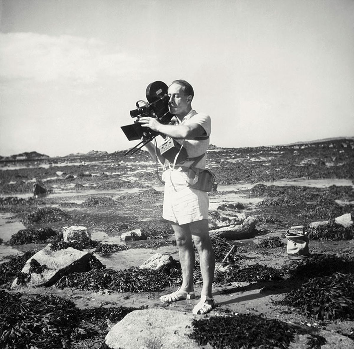 Deep dive: the French filmmaker and photographer Jean Painlevé's films of the ocean floor inspired Surrealists such as Man Ray, and mark the beginnings for environmental conscious art © Les Documents Cinématographiques/Archives Jean Painlevé