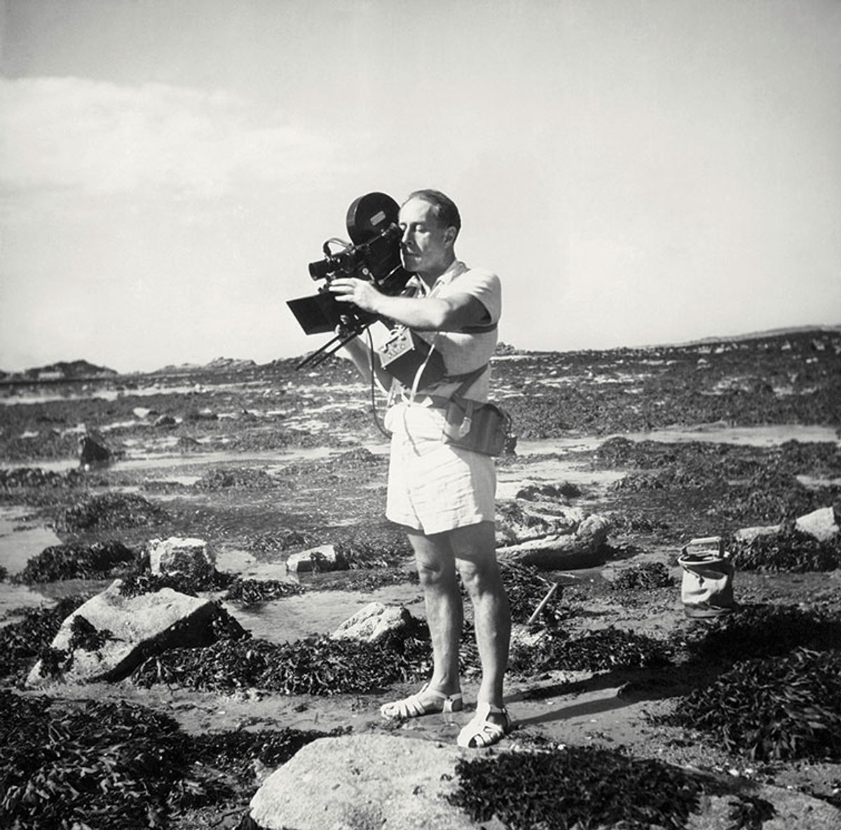 Deep dive: the French filmmaker and photographer Jean Painlevé's films of the ocean floor inspired Surrealists such as Man Ray, and mark the beginnings for environmental conscious art © Les Documents Cinématographiques/Archives Jean Painlevé