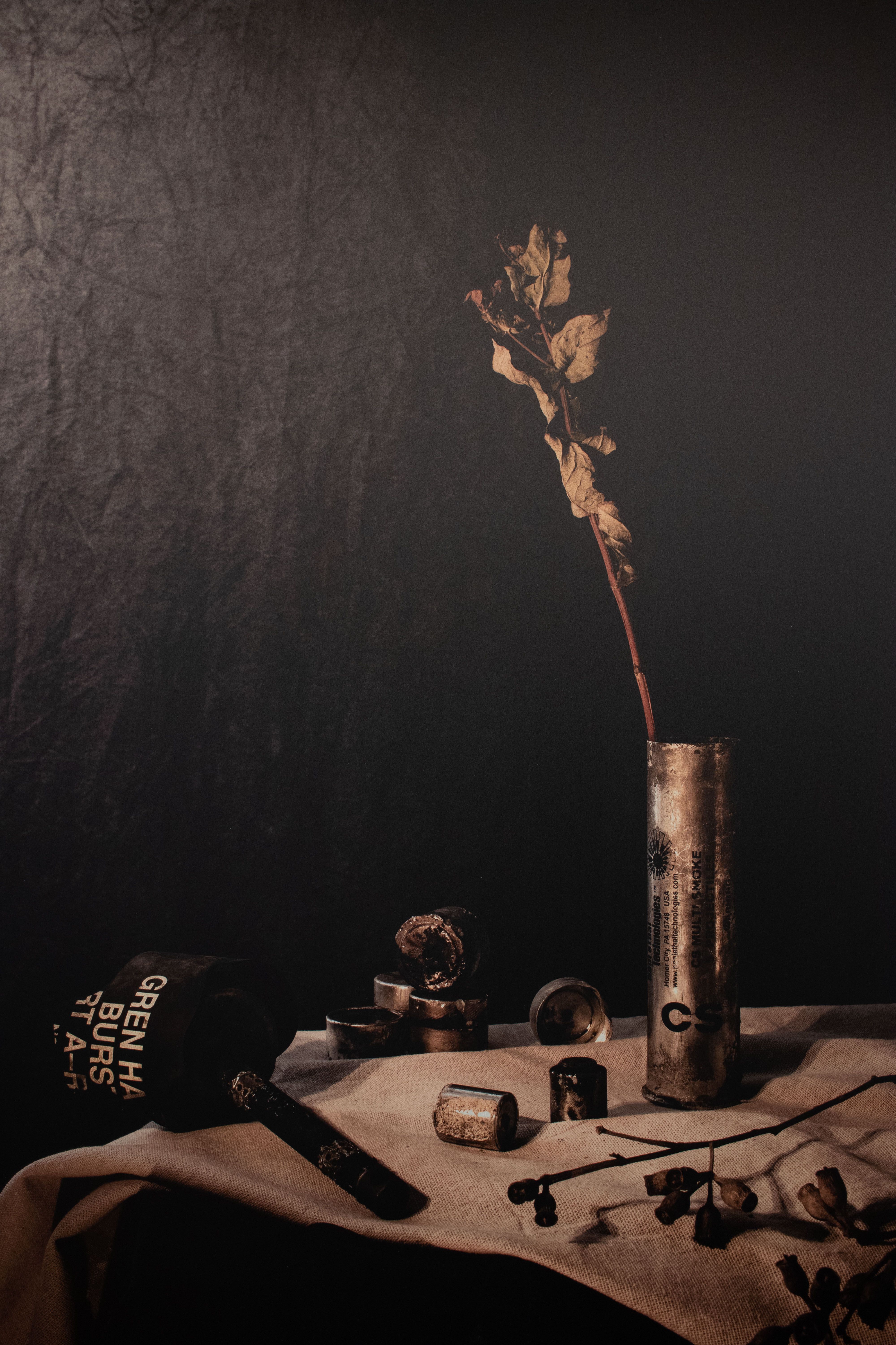 Hong Kong artist's sombre still life with a tear gas