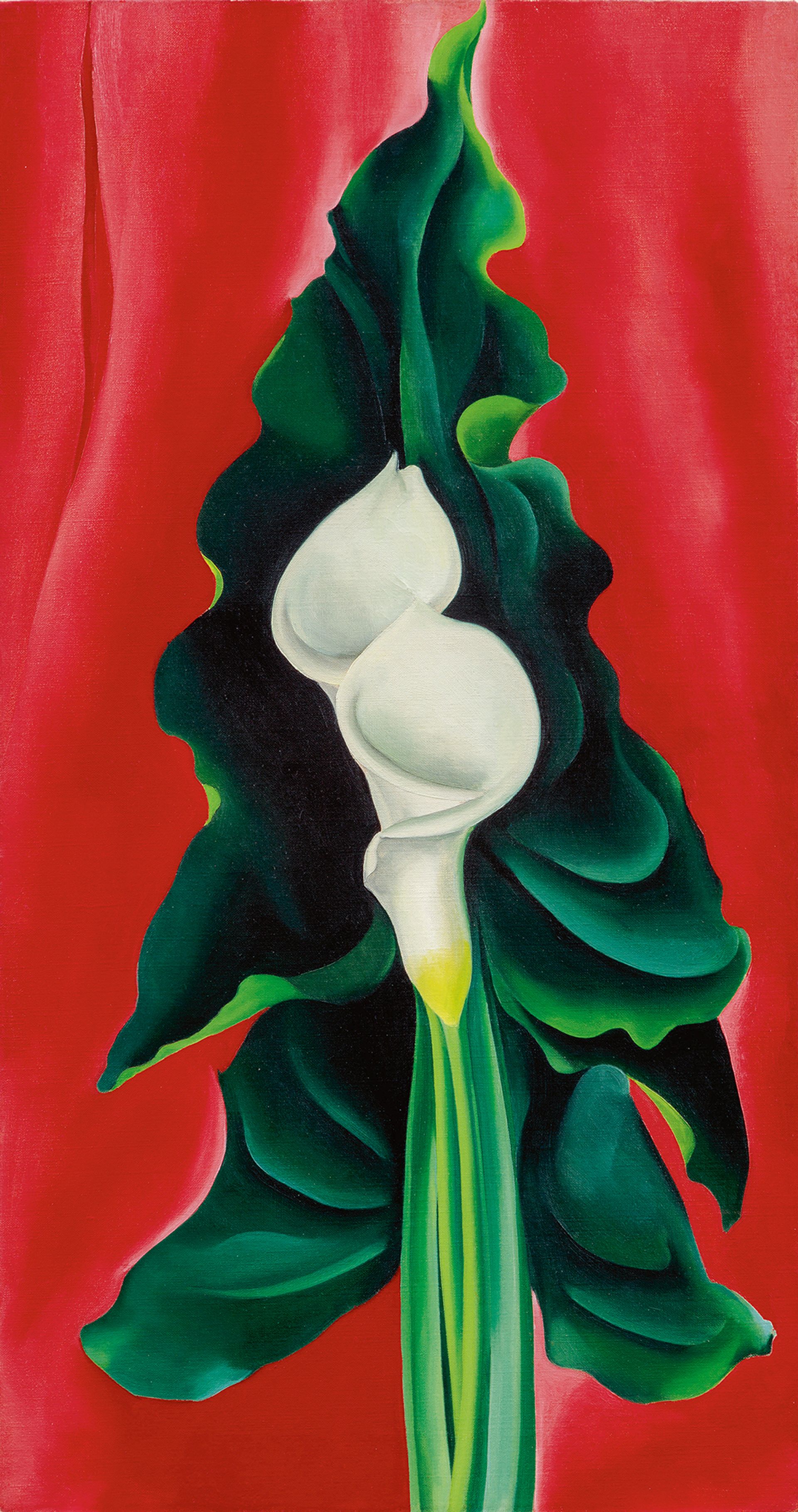 Calla Lilies on Red (1928) has a high estimate of $12m and will be included in Sotheby's contemporary evening sale on 14 November. Courtesy of Sotheby's