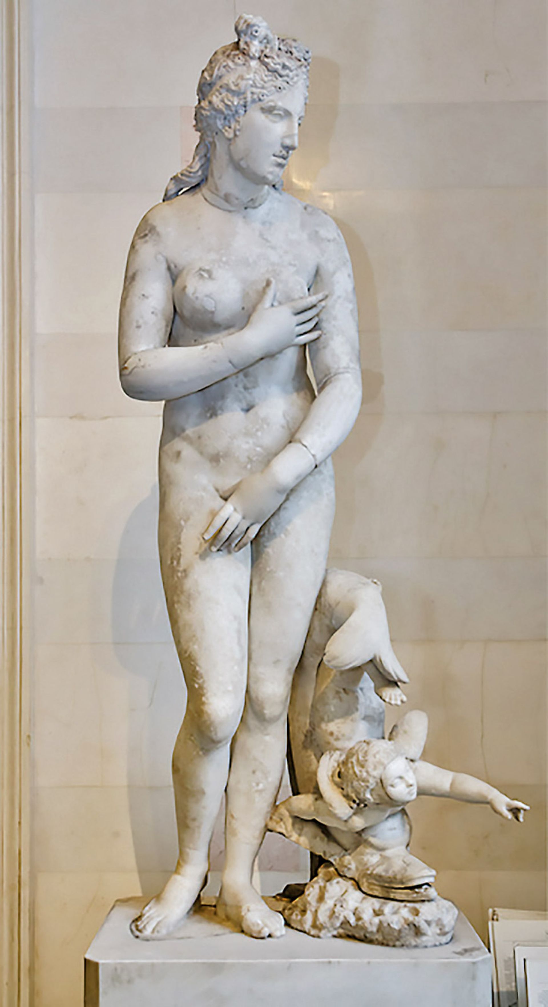 Beauty personified:  the Gatchina Venus will receive treatment 