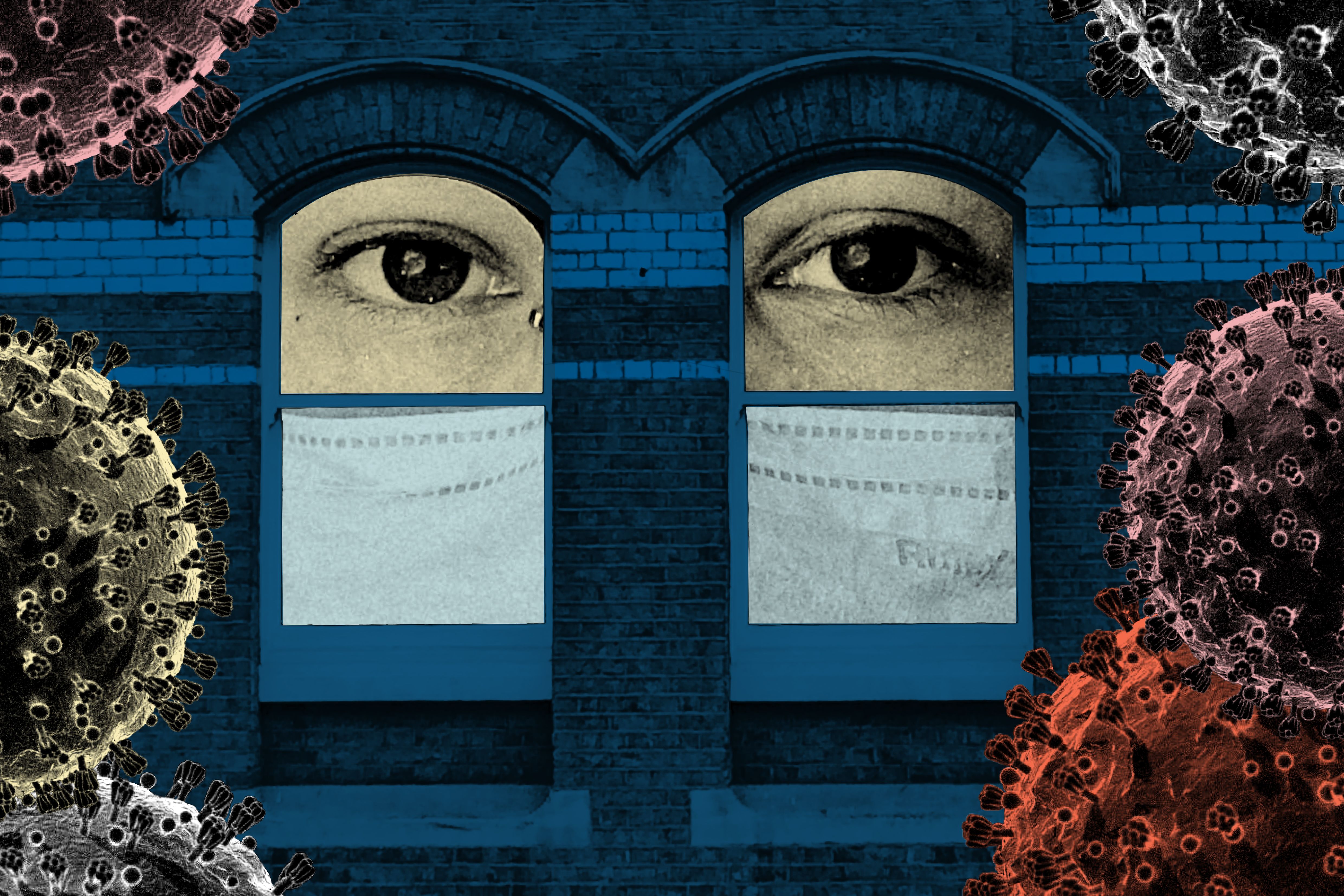  Illustration: © Katherine Hardy