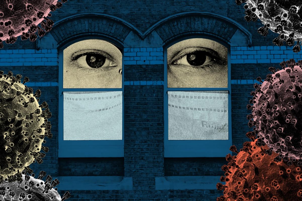 Illustration: © Katherine Hardy