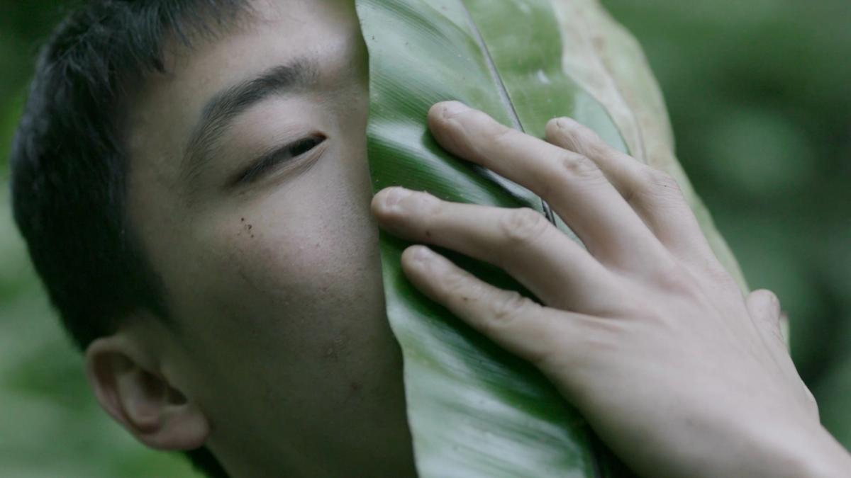 Zheng Bo's video Pteridophilia shows a naked man passionately copulating with plants © Taipei Biennial 2018