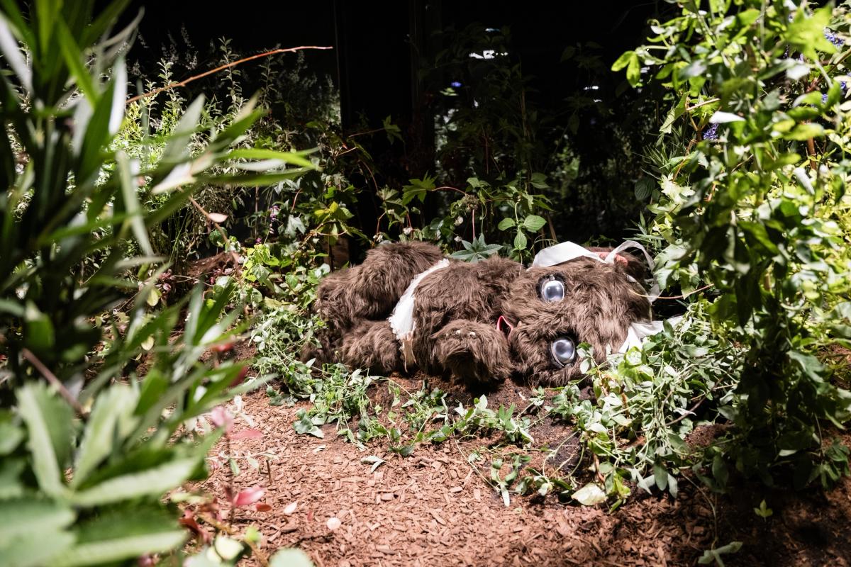 Precious Okoyomon's the sun eats her children (il sole mangia i suoi figli), 2023, is just one of many works to see at Castello di Rivoli, the former residence of the House of Savoy, this Turin Art Week
Courtesy of Castello di Rivoli – Museo d’Arte Contemporanea, Rivoli-Torino. Photograph: Andrea Guermani
