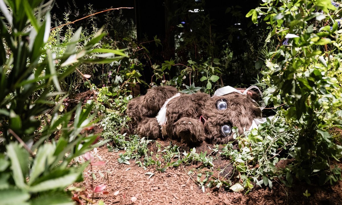 From neon installations to an animatronic bear, here’s what not to miss this Turin Art week From neon installations to an animatronic bear, here’s what not to miss this Turin Art week