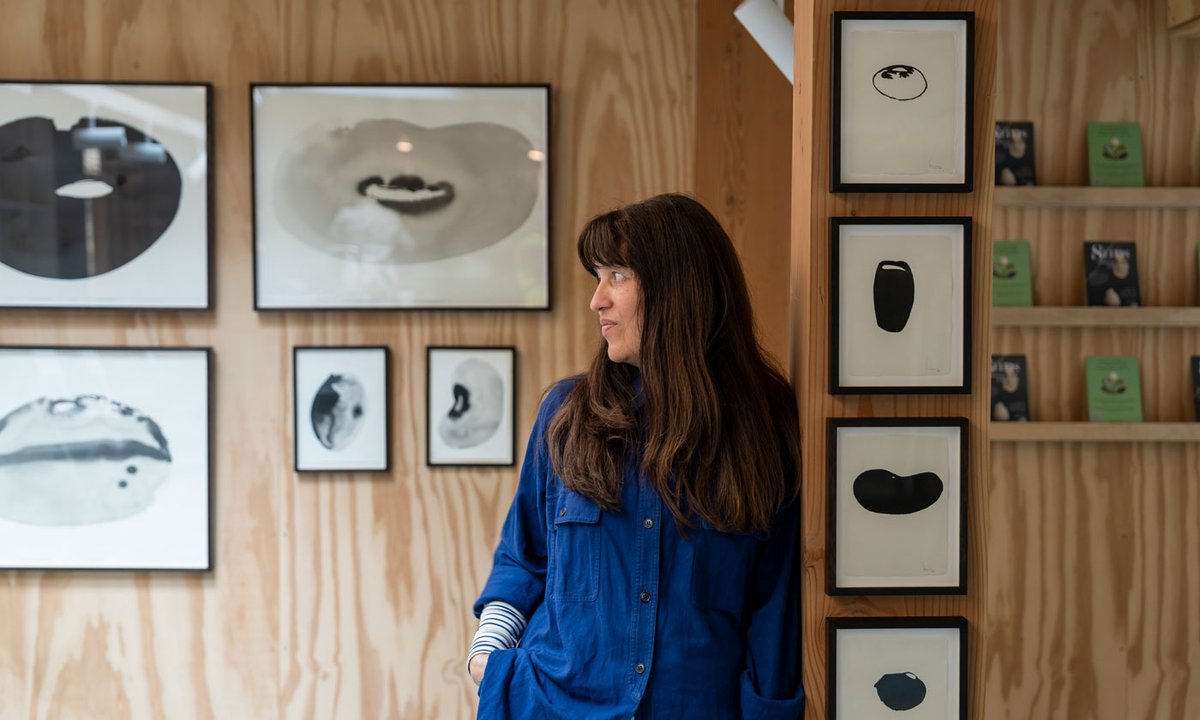 London urban oasis hosts an artist's multimedia investigation of plants' resilience in the face of climate crisis