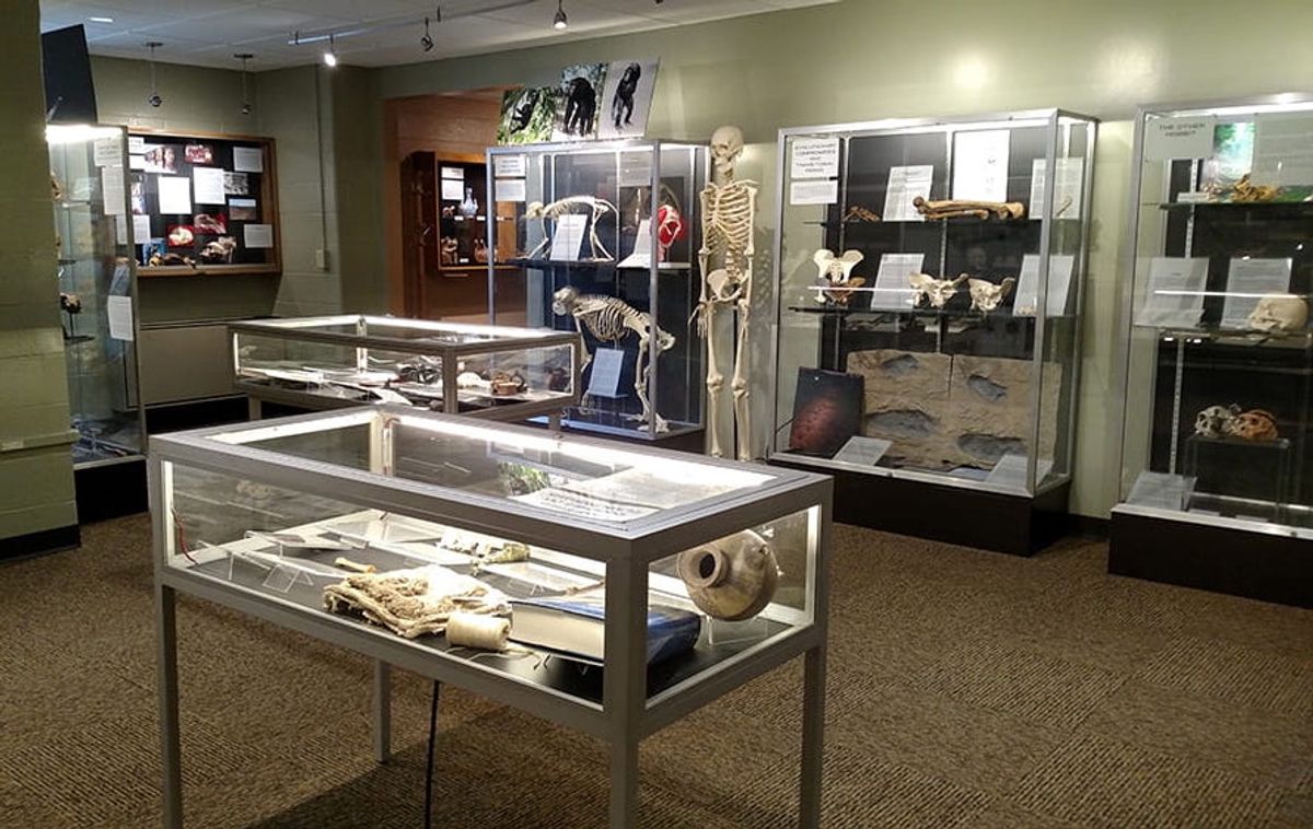 The Matson Museum of Anthropology. Pennsylvania State University.