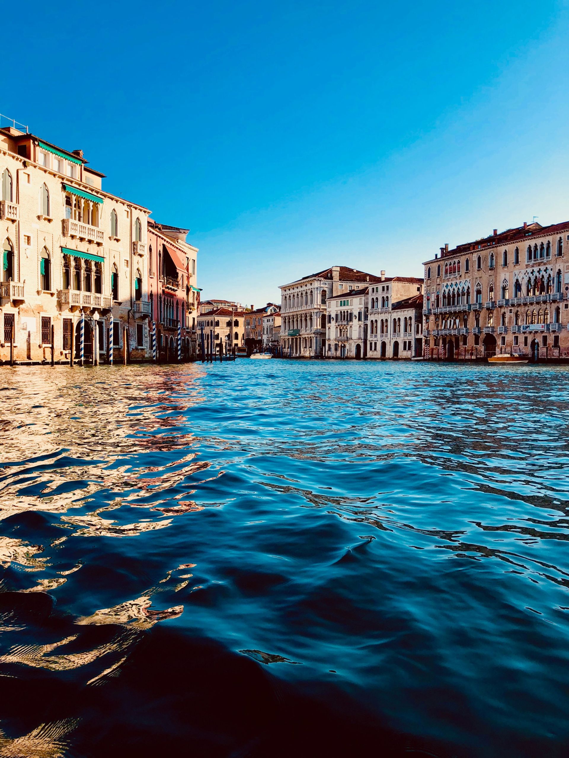 For Venice to be protected from sea-level rise, culture, science, political and economic power need to collaborate on a long-term strategy © Rafael Kellermann Streit