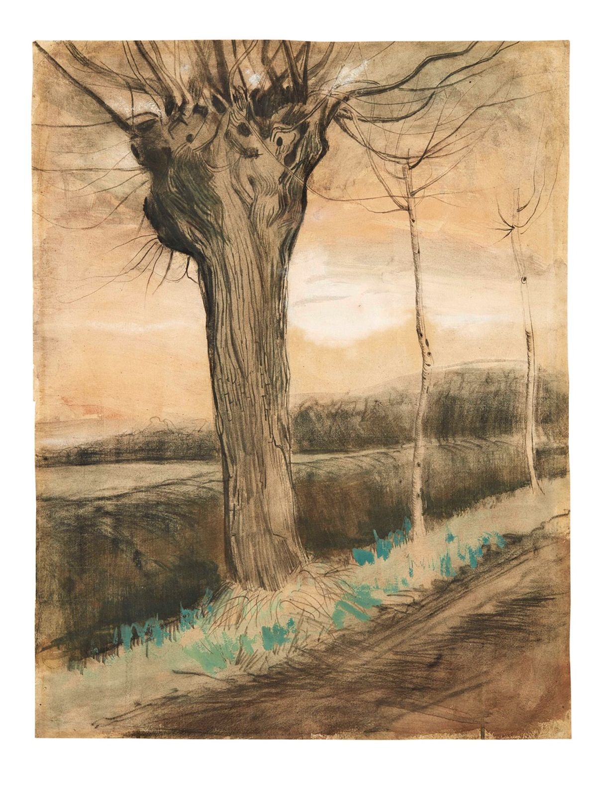 Vincent van Gogh’s Pollard Willow (1881) Pandolfini Casa d’Aste, Milan