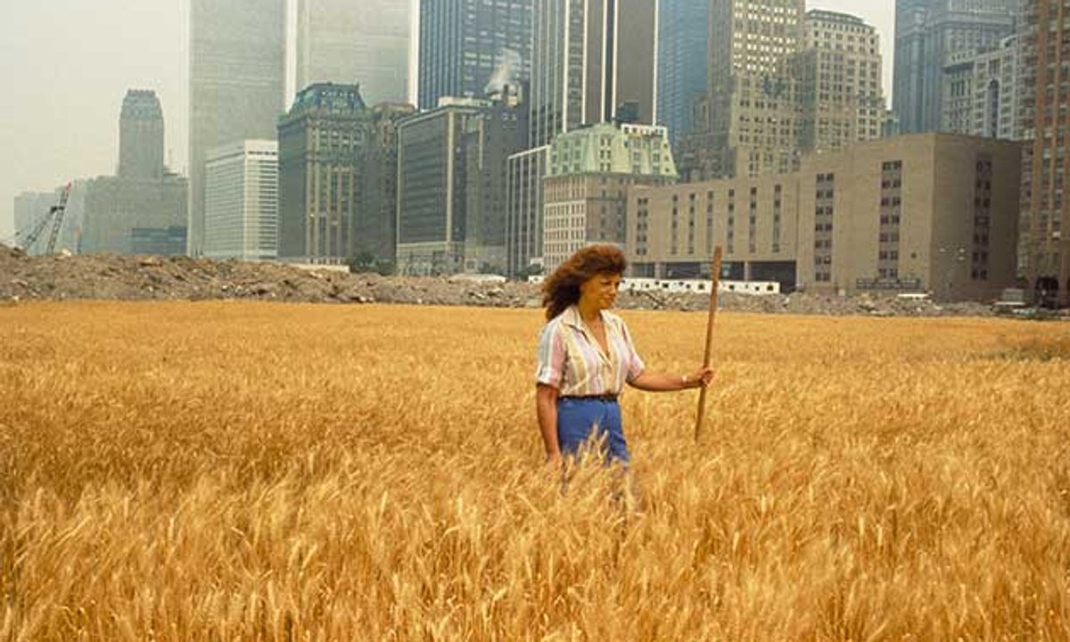 Agnes Denes resurrects famous ‘Wheatfield’ work in Montana Agnes Denes resurrects famous ‘Wheatfield’ work in Montana