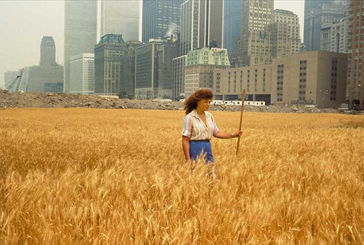 Agnes Denes’s Wheatfield—A Confrontation (1982) in New York City
Photo: John McGrail, courtesy Agnes Denes and Leslie Tonkonow Artworks + Projects