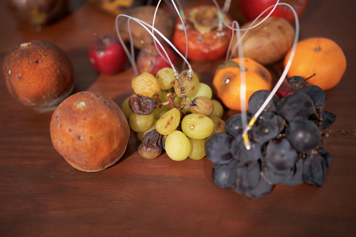 Decomposition (2022) by Yuko Mohri in the Japan Pavilion is an acoustic sculpture Photo: kugeyasuhide; © the artist; courtesy the artist, Project Fulfill Art Space, Taipei and mother’s tankstation limited, Dublin/London and Yutaka Kikutake Gallery, Tokyo